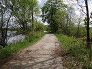 Supia. Skrcamy w pierwsz drog w prawo (10,5 km), ktra biegnie midzy stawami. 09.05.2015