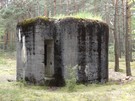 Pododcinek Magdalenw. Schron nr 6 (wyranie wyszy od pozostaych) w okolicy wsi Podar. 09.05.2017