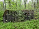Pododcinek Magdalenw. Schron nr 8 (tradytor dwustronny bez stropu) w okolicy osady Chmielowiec. 09.05.2017