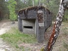 Pododcinek Magdalenw. Schron nr 9 w pobliu DK 74. 09.05.2017