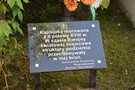 Szczercw. Kapliczka, w ktrej podczas II wojny wiatowej ruch oporu przechowywa bro. 09.05.2015
