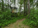 Uroczysko „wite ugi”. Przy tablicy „ywica sosnowa” skrcamy w wyran ciek wzdu brzegu. 16.06.2017