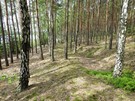 Uroczysko „wite ugi” - okopy. 16.06.2017