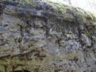 Faustynw. Schron nr 19 „Grony” (z odstrzelon przelotni). 13.09.2014