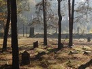 Zamo. Cmentarz onierzy niemieckich polegych w bitwie pod Zamociem podczas I wojny wiatowej. 20.10.2012