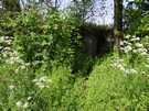 Grabno. Tradytor dwustronny nr 24 (na terenie prywatnym). 24.05.2014