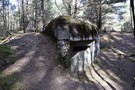 Zamo. Schron nr 21 po drugiej stronie DW481. 19.03.2016
