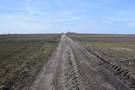 Widawa. Skrt w lewo w poln drog w kierunku wierczowa. 19.03.2016