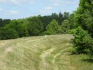 Strosko. Way przeciwpowodziowe wzdu Warty. 27.05.2017
