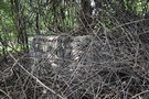 Strosko. Rozbity i trudny do odszukania schron bojowy nr 26. 03.09.2016