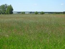 Nad Wart, okolice Podyc. 27.05.2017