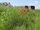 Sieradz. Wkomponowany w wa przeciwpowodziowy schron nr 35. 07.06.2014