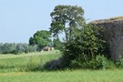 Glinno. Schron nr 44, a na pierwszym planie nr 43. 04.06.2016