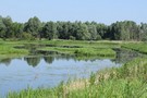 Rez. Jeziorsko, rejon cofki przy wysokim stanie wody. 04.06.2016