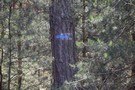 'Jzefw-Wiktorw. Nowy znak: id szybciej. 04.06.2016