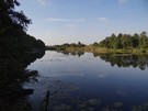 Dochodzimy do starorzecza Grabi. 04.10.2015
