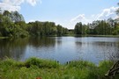 Zalew na Grabi w Baryczy. 06.05.2016