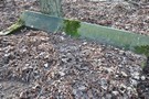 Rbinek. Dawny cmentarz ewangelicki. 13.03.2011