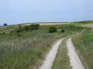 Sułkowice. Na trasie.
