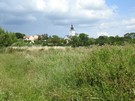 Widok na Szczaworyż.