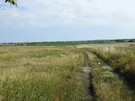Malowniczą drogą pośród łąk poszliśmy w stronę Skorocic.