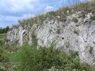 Rezerwat Przęślin.
