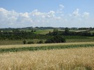 Probołowice. Widok na Zawinicę, kulminację Garbu Wodzisławskiego.