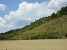 Zawinica. Ostatecznie prawie sturlaliśmy się do szosy w kierunku Podlesia.