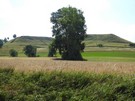 Gacki.