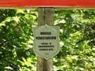 Powstańcza mogiła na skrzyżowaniu leśnych dróg.