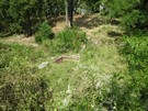 'W tej chwili zostały tylko ledwo widoczne fundamenty, zakratowana studnia i zarośnięta akacjami panorama miasta.