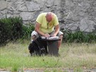 Pińczów. Mirek w zespole klasztornym oo. reformatów na Mirowie.