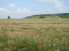 Góry Pińczowskie.
