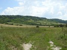 Niestety później nie zauważyliśmy jakiegoś zarośniętego rozwidlenia i droga doprowadziła nas do Skowronna Dolnego.