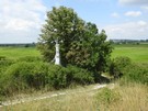 Znaleźliśmy wydeptaną ścieżkę, która nas doprowadziła do znajdujących się przy drodze asfaltowej figur.