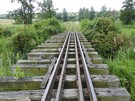 Doszliśmy do torów Świętokrzyskiej Kolejki Dojazdowej, obecnie kolejki wąskotorowej Expres Ponidzie.