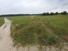 Na wysokości Staniowic skręciliśmy w leśną drogę, która nas doprowadziła do wału nad Nidą.