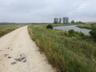 Na wysokości Staniowic skręciliśmy w leśną drogę, która nas doprowadziła do wału nad Nidą.