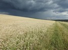 Niestety chmury zwyciężyły, co w okolicach rezerwatu odczuliśmy na własnej skórze.