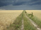 ... jednocześnie obserwując, jak z czarnymi chmurami walczyło słońce.