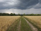 Idąc zboczem Galicowej podziwialiśmy panoramę doliny Nidy.