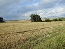 ... ruszyliśmy w stronę Chmielowic.