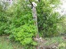 Na skraju Radomic skręciliśmy na północ...