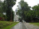 Cisów... ani znajdującym się przy nim cisom.