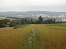 Wędrowaliśmy czerwonym szlakiem, szkoda że pogoda popsuła nam widoki.