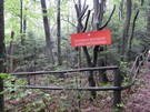Rezerwat przyrody Kamień Michniowski.