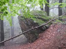 Rezerwat przyrody Kamień Michniowski.