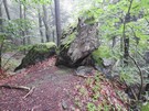 Rezerwat przyrody Kamień Michniowski.