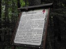 Rezerwat przyrody Kamień Michniowski.