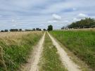 Oleszka. Głaz z tablicą umieszczoną w miejscu Jego śmierci położony jest przy drodze wśród pól, gdzie dookoła rozpościerały się przepiękne widoki.